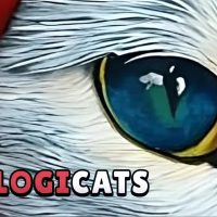 Logicats Steam CD Key